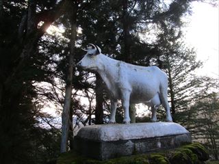 d0045362_1741260.jpg