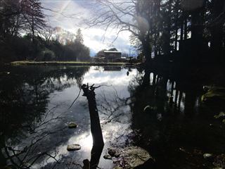 d0045362_1761749.jpg