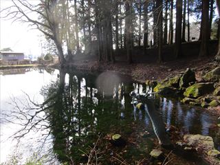 d0045362_176183.jpg