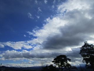 d0045362_1773960.jpg