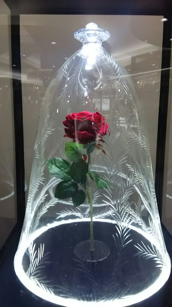 d0052263_17245639.jpg