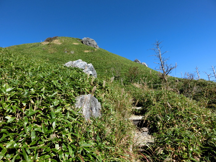 b0185573_834452.jpg