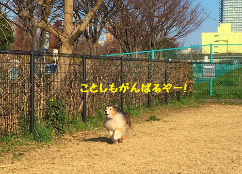 a0157174_2109100.png