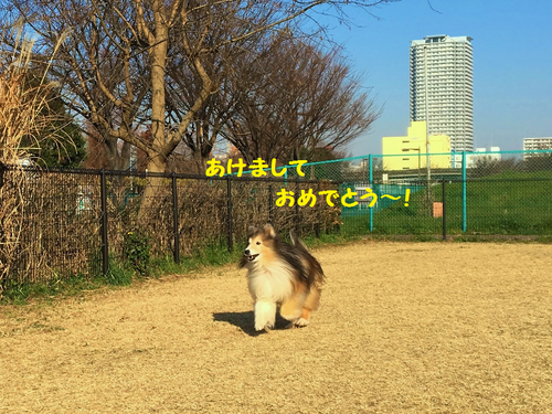 a0157174_2153185.png