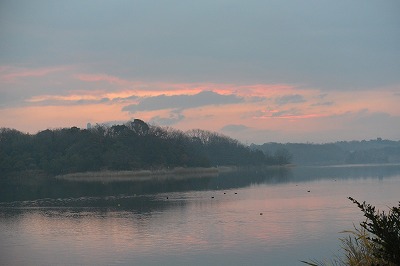 e0275976_0365077.jpg