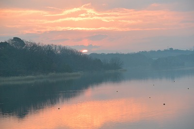 e0275976_0434557.jpg