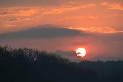 e0275976_0553743.jpg