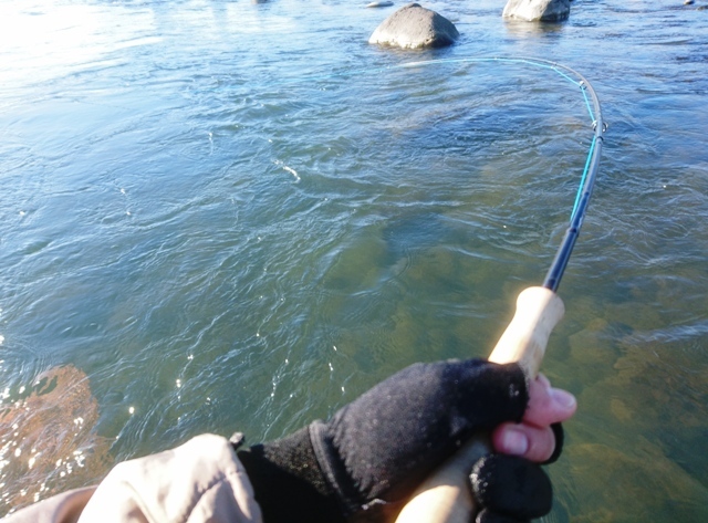 c0157482_09491131.jpg