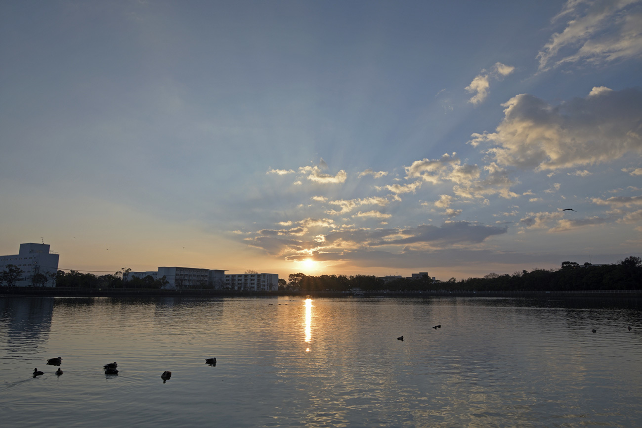 a0110584_07314168.jpg