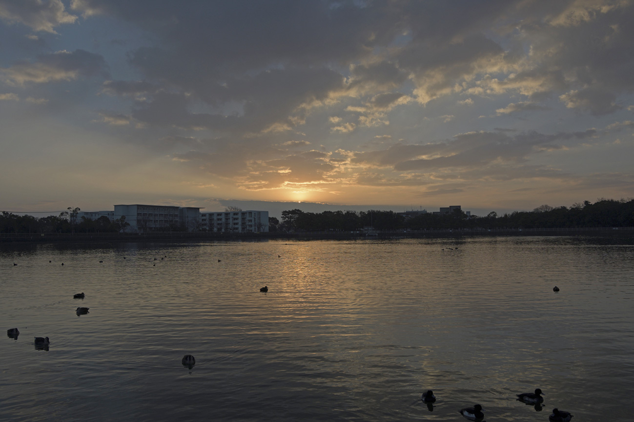 a0110584_07340809.jpg