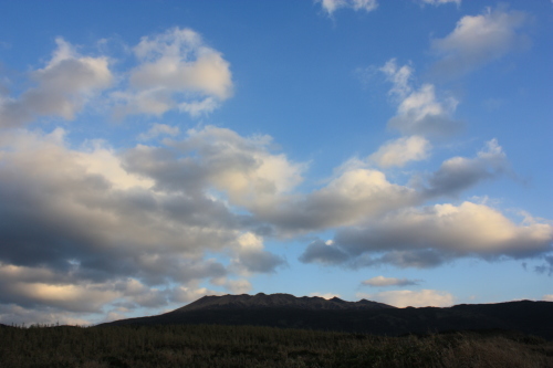 c0204385_16134544.jpg