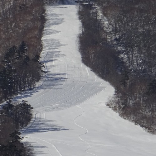 c0223286_795291.jpg