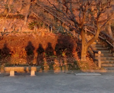 e0023790_14484934.jpg