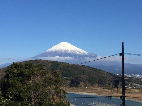 日本に戻りました_d0346092_21261852.jpg