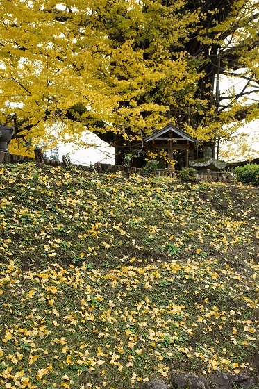 e0176993_07491785.jpg