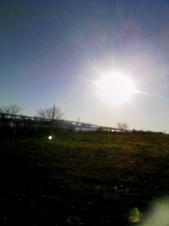 c0201895_1457732.jpg