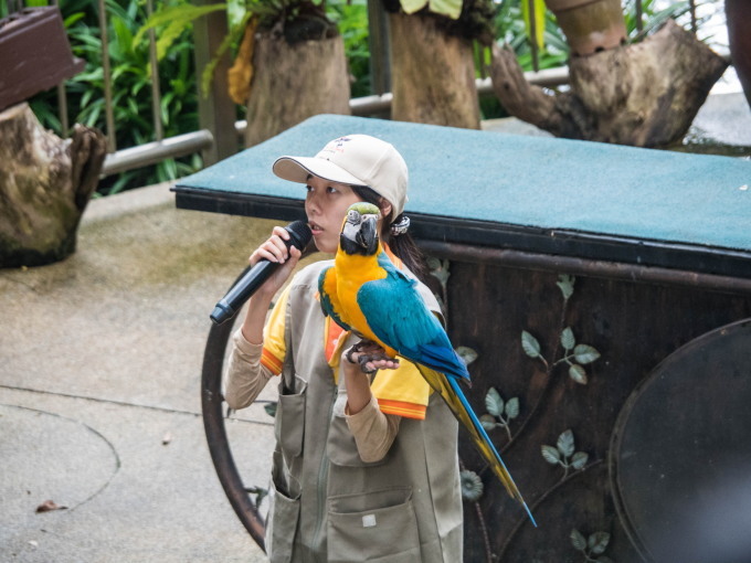 2016ブルネイ・ボルネオ島・マレー半島vol.14~KLムルデカ広場とBirdpark~_f0276498_09334381.jpg