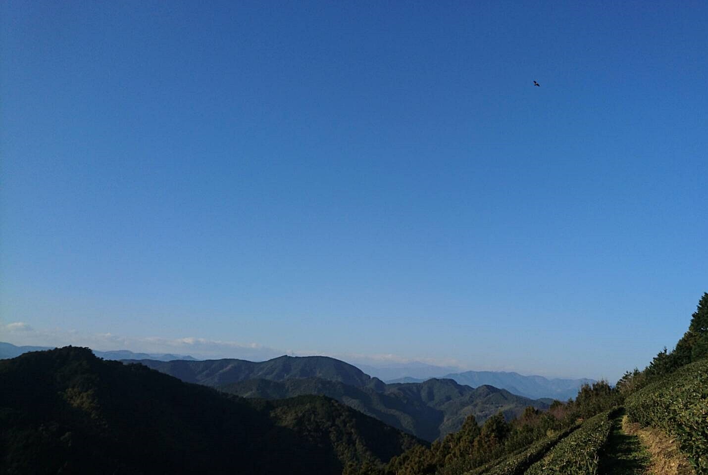 b0028299_21581014.jpg