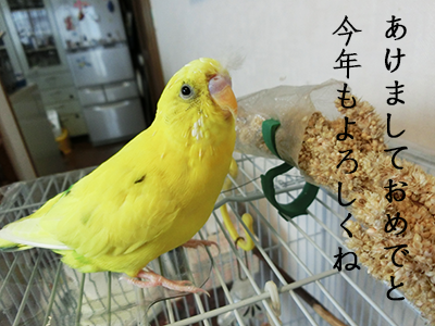 b0025301_21020851.png
