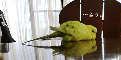 b0025301_23305455.png