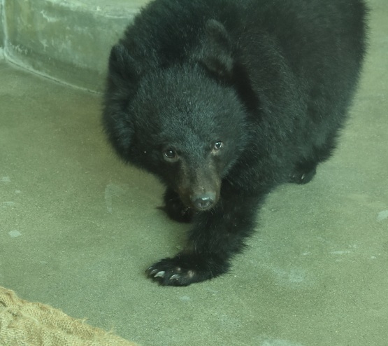 d0090801_19350267.jpg