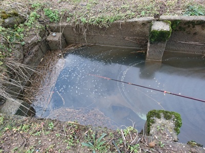 f0082402_20271462.jpg