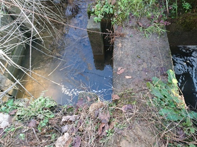 f0082402_20381406.jpg