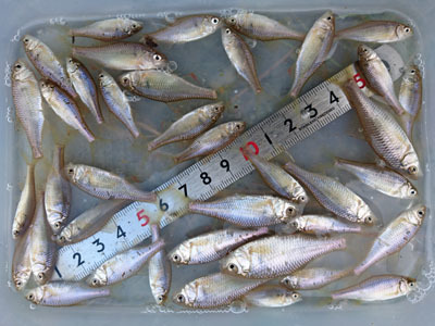 f0082402_20400000.jpg