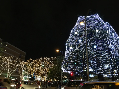 d0054704_151647.jpg
