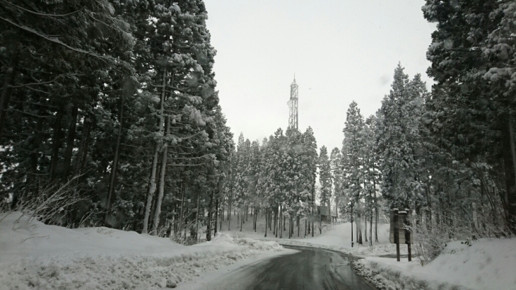 c0326807_20482600.jpg