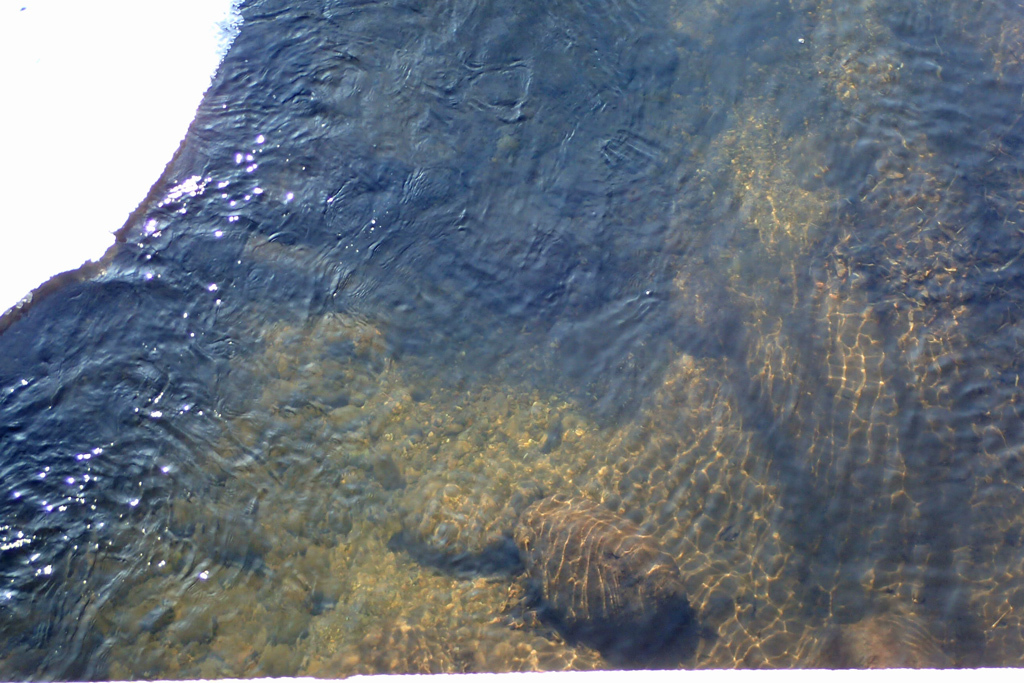 d0051707_19564728.jpg