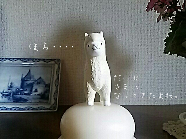 f0024708_16445624.jpg