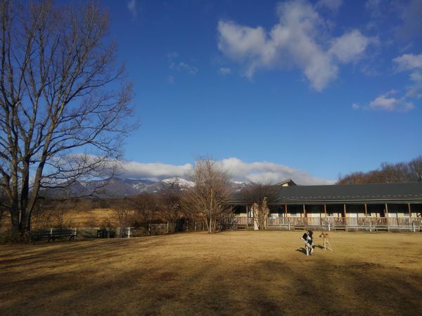 d0224111_16575977.jpg