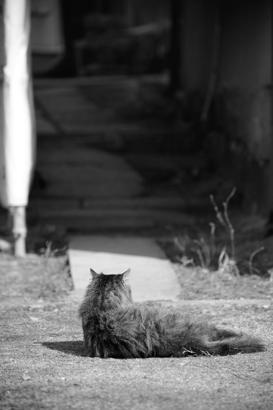 大晦日 伏見寸景・其の二_f0032011_19231736.jpg