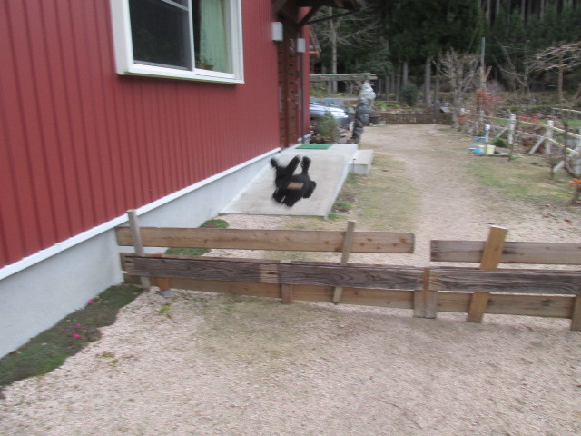 f0341616_16580555.jpg