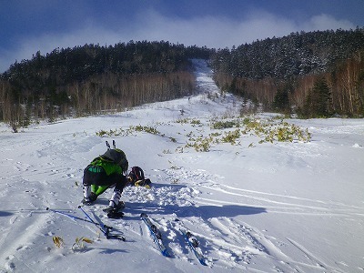 a0353718_20114786.jpg