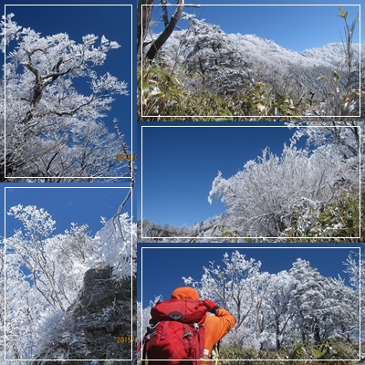 オコバ谷～上福根～岩宇土山周回_f0193521_19524489.jpg