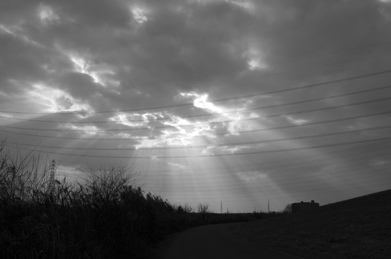 c0176622_14482553.jpg