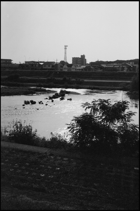 c0176622_19432687.jpg