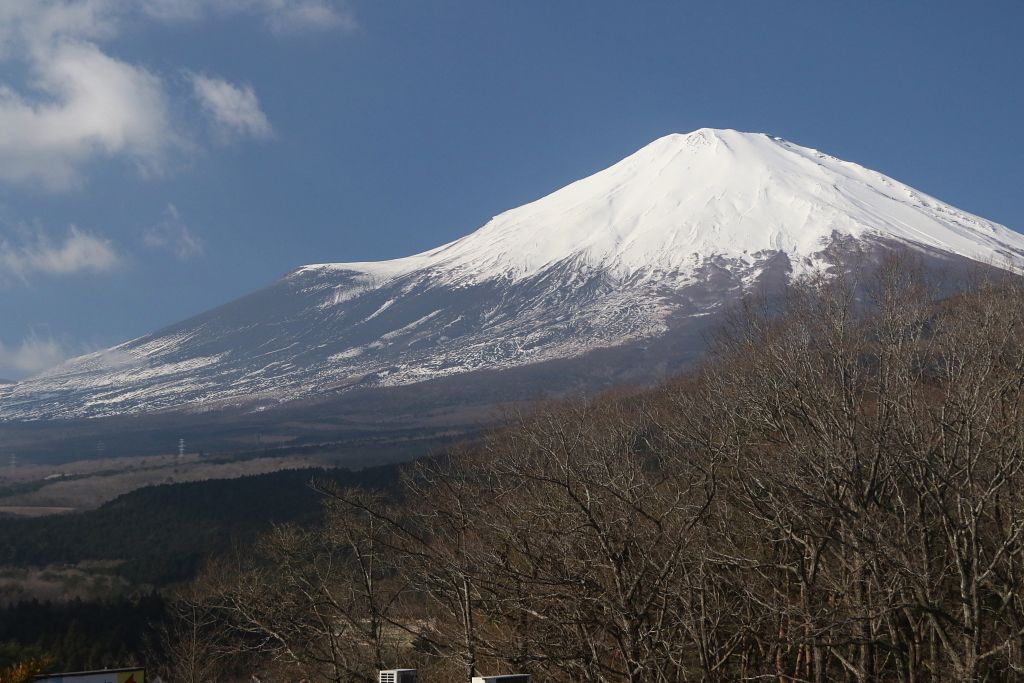 d0240223_8555739.jpg