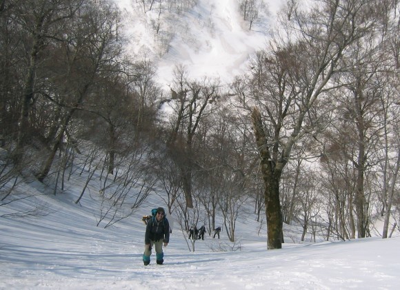 f0118332_21420617.jpg