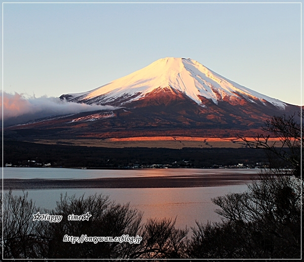 わんこと一緒に富士山へお出かけ♪_f0348032_21375881.jpg