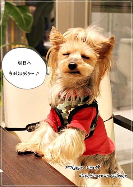 わんこと一緒に富士山へお出かけ♪_f0348032_21381911.jpg