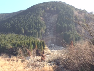 裏山散歩_d0009738_355162.jpg