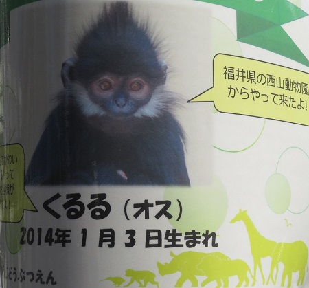 今日の動物園(追記あり)_f0002743_20351681.jpg
