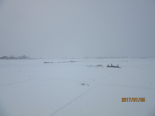 f0279343_221945.jpg