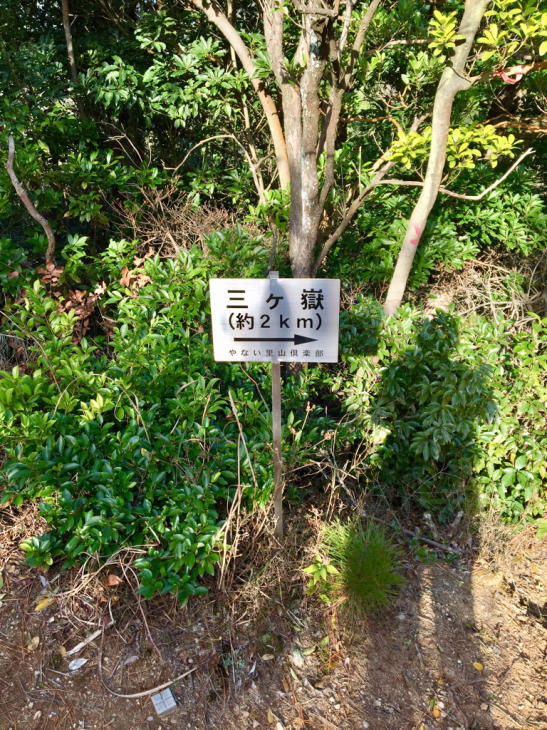 f0183846_21192853.jpg