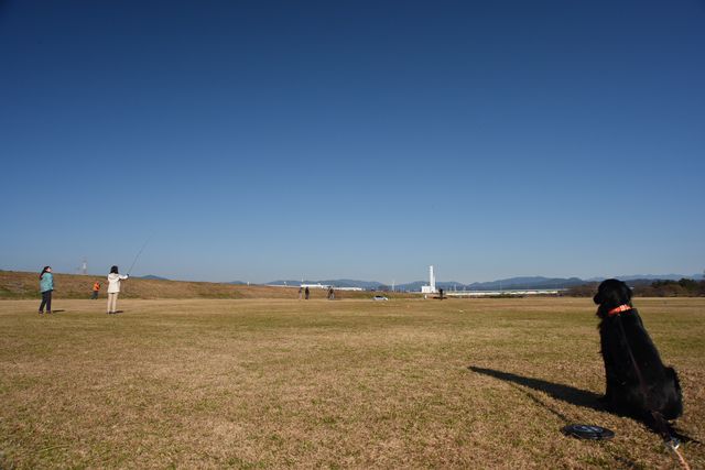 d0247247_231784.jpg