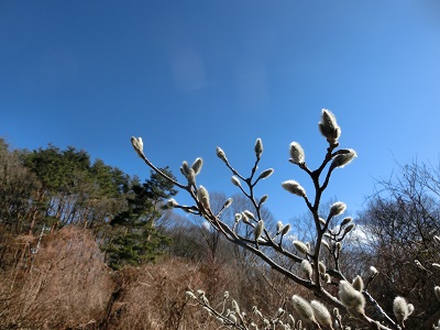 f0019247_14455086.jpg