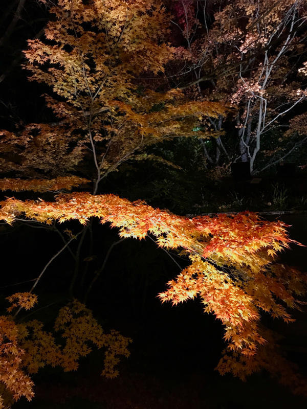 b0367250_22042016.jpg